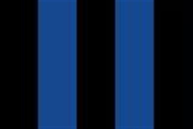internazionale small.jpg